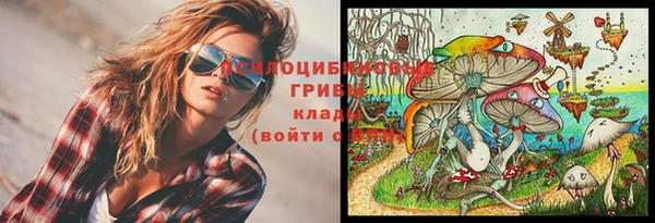 тгк Вязьма