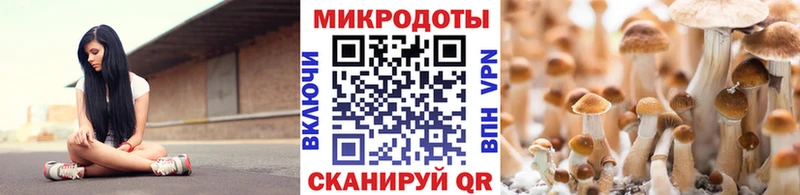 где купить наркотик  Орехово-Зуево  Псилоцибиновые грибы Cubensis 